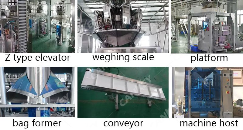 Plantain Chips Packaging Machine Details