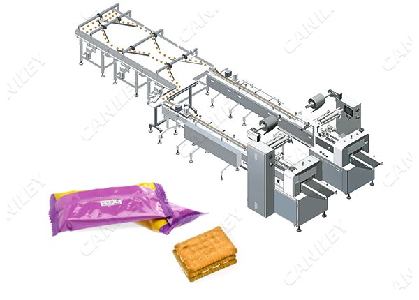Automatic Food Packaging Assembly Line in Food Industry